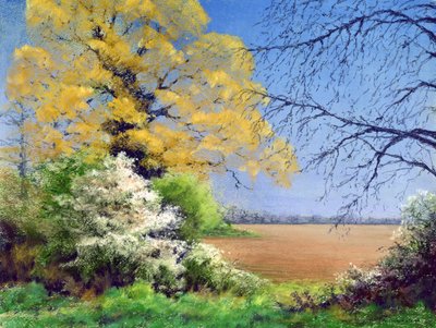 Blackthorn Winter，2003 作者 安东尼·鲁尔