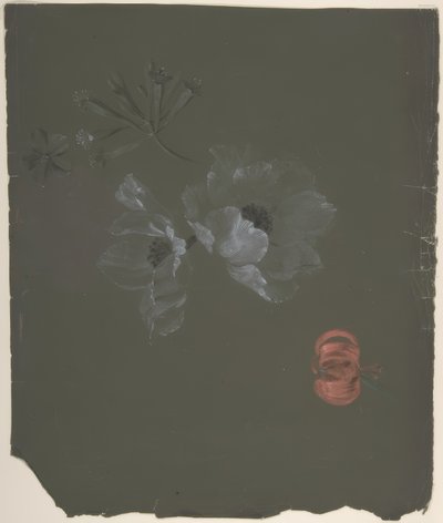Floral Design 作者 安托万·伯戎（Antoine Berjon）