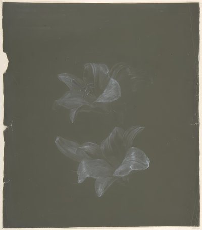 Floral Design 作者 安托万·伯戎（Antoine Berjon）