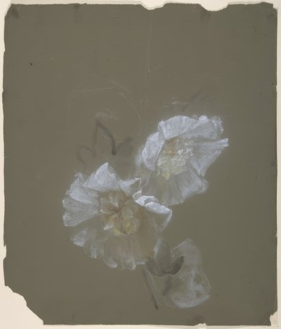 Floral Design 作者 安托万·伯戎（Antoine Berjon）