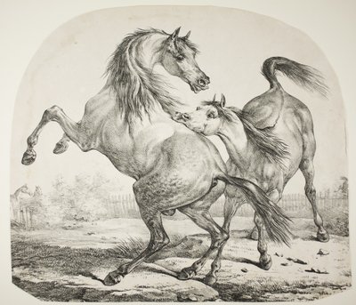 野马搏斗，约1820年 作者 安东尼·查尔斯·贺拉斯·韦尔内