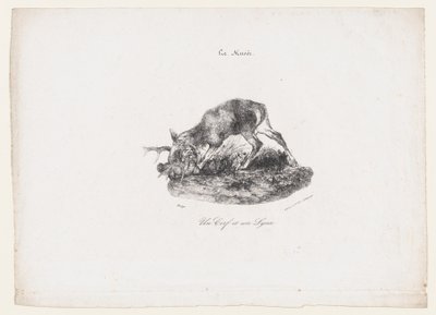 一头鹿和一只猞猁，1834年。 作者 安托万·路易斯·巴里