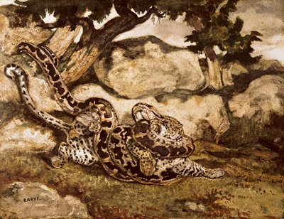 Python杀虎（纸上的水粉和水粉） 作者 安托万·路易斯·巴里