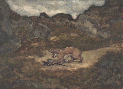 狞笑和野鸡，1810-75。 作者 安托万·路易斯·巴里
