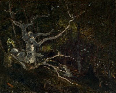 枫丹白露森林，1860 年的 "白兰芝王妃"（布面油画） 作者 安托万·路易斯·巴里