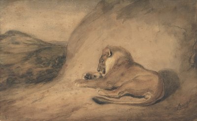 狮子休息，1810-75。 作者 安托万·路易斯·巴里
