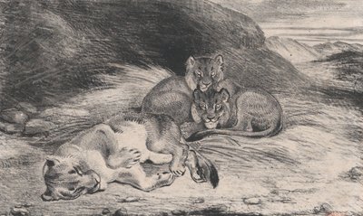 母狮和幼狮，可能是1832年。 作者 安托万·路易斯·巴里
