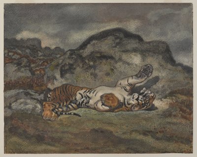 滚动虎，1840年（纸上wc） 作者 安托万·路易斯·巴里