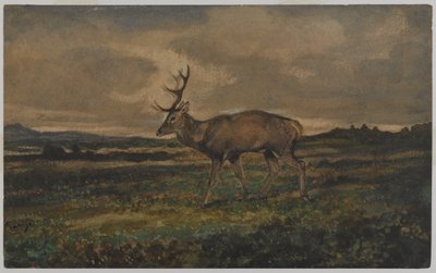 Stag Walking（wc在纸上） 作者 安托万·路易斯·巴里