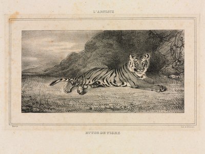 《老虎研究》，1832年。 作者 安托万·路易斯·巴里