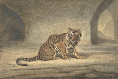 虎，1810-75。 作者 安托万·路易斯·巴里