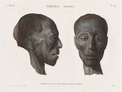 埃及描述：底比斯。Hypogees 卷 II，Pl.49 作者 亨利·约瑟夫·雷杜特