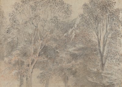 树顶[背面] 作者 安托万·瓦托