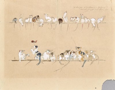 老鼠和猫 作者 安东·哈廷格