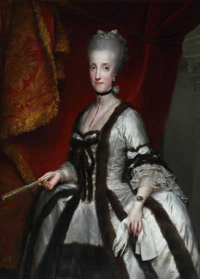 奥地利玛丽亚-卡罗琳娜肖像 作者 安东·拉斐尔·蒙斯（Anton Raphael Mengs）