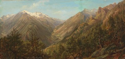 从托尔（Thörl）眺望莫尔达山谷（Molda Valley）和霍哈尔彭茨山（Hochalpenspitzl）的美景 作者 安东·希弗