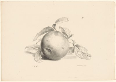 Appel
水果（系列名称） 作者 安东·魏斯