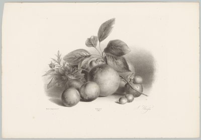 鲜花、油桃和榛子 Bloem en Fruit Studien (...) 第 10 集（系列标题） 作者 Desguerrois and Co.