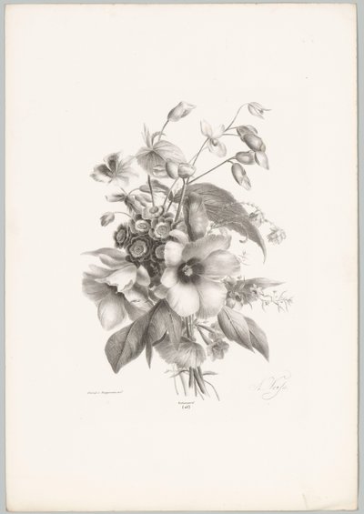 杂花
花卉和水果研究（......）第 10 期（系列名称） 作者 Desguerrois and Co.