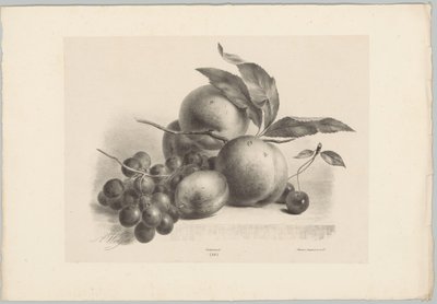 葡萄、李子、桃子和樱桃 Bloem en Fruit Studien (...) 第 10 集（系列标题） 作者 Desguerrois and Co.