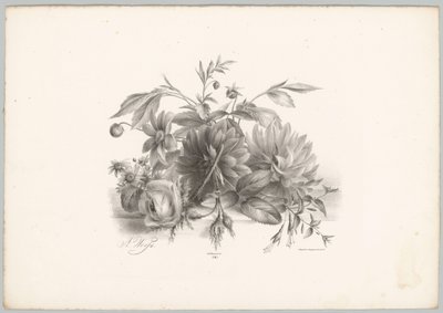 玫瑰、大丽花和紫红色 Bloem en Fruit Studien (...) 第 10 集（系列标题） 作者 Desguerrois and Co.