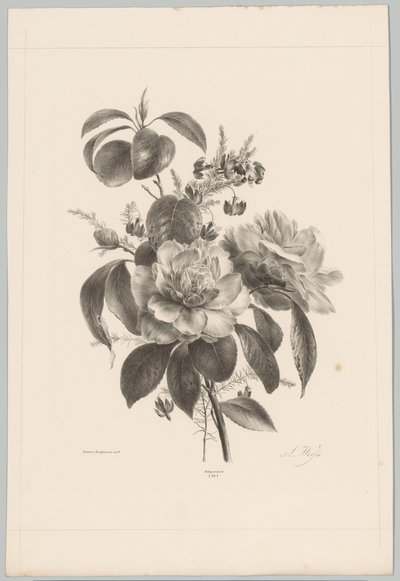 玫瑰和其他鲜花 Bloem en Fruit Studien (...) 第 10 集（系列标题） 作者 Desguerrois and Co.