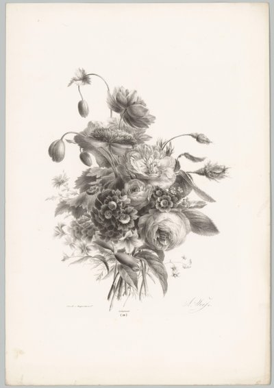 玫瑰和其他花卉
花卉和水果研究（......） 第 10 集（系列名称） 作者 Desguerrois and Co.
