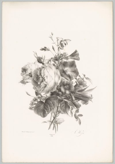 玫瑰和花萼花
花果研究》（......）第 10 期（系列名称） 作者 Desguerrois and Co.