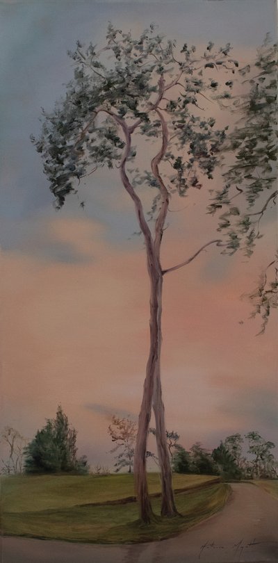 塔普利公园的树木，2013（布面油画） 作者 安东尼娅·迈亚特