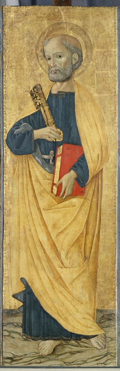 使徒彼得，c.1500（杨木上的蛋彩画） 作者 罗马安东尼奥
