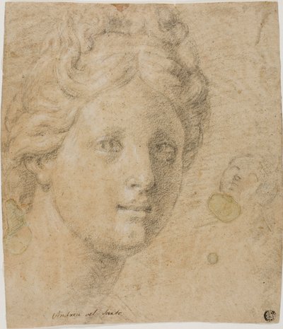 妇女头像 作者 安东尼奥·巴莱斯特拉（Antonio Balestra）