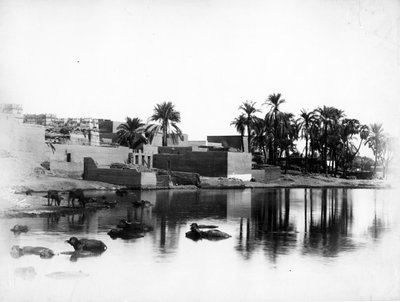 卢克索从尼罗河船上看到，1860-80 作者 安东尼奥·比托（Antonio Beato）