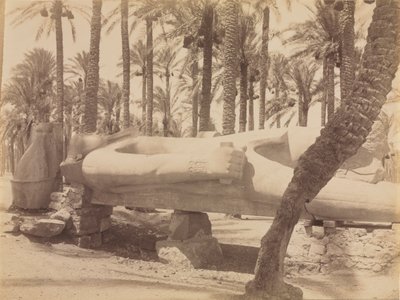拉美西斯雕像在塞加拉，c。 1870年代-1880年代。 作者 安东尼奥·比托（Antonio Beato）