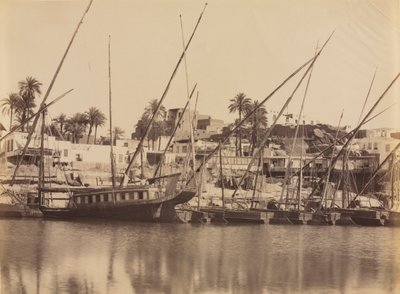 阿斯旺（Aswan）-尼罗河沿岸c。 1870年代-1880年代。 作者 安东尼奥·比托（Antonio Beato）