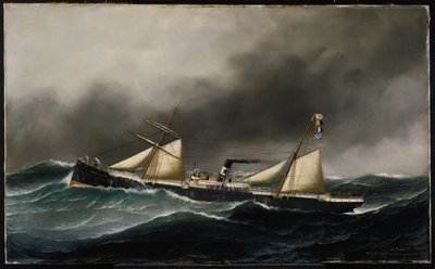 SS布鲁克林市，1886年 作者 安东尼奥·雅各布森
