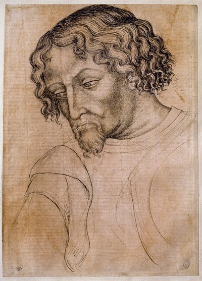 留着胡子的半身像，四分之三的头向左倾斜。 Antonio di Puccio Pisano dit Pisanello (1395-1455) 工作室的绘图。 羽毛（图画），血。 尺寸：28x20cm。 卢浮宫，绘图公司 作者 安东尼奥·皮萨内洛