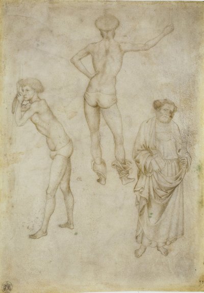两项男性人物研究和圣彼得（1430-1435） 作者 安东尼奥·皮萨内洛