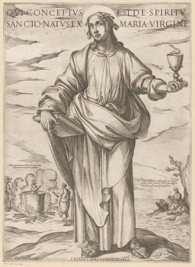 圣约翰
Qui conceptus est de spiritu sancto natus ex Maria virgine（物品上的标题）
基督、玛利亚和使徒（系列标题） 作者 尼古拉·范·阿尔斯特
