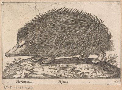 埃格尔
Herinaceus/ Riccio（物品上的标题）
Dieren en fabelwezens（系列名称）
Nova raccolta de li animali più curiosi del mondo（系列名称） 作者 安东尼奥·坦佩斯塔