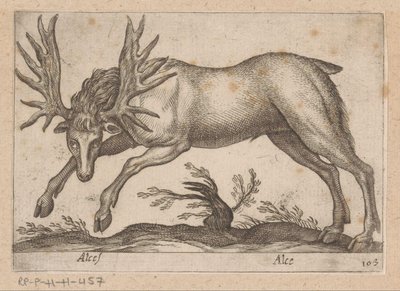 麋鹿
驼鹿/麋鹿（物品上的标题）
Dieren en fabelwezens（系列名称）
Nova raccolta de li animali più curiosi del mondo（系列名称） 作者 乔瓦尼·贾科莫·德罗西（可能）