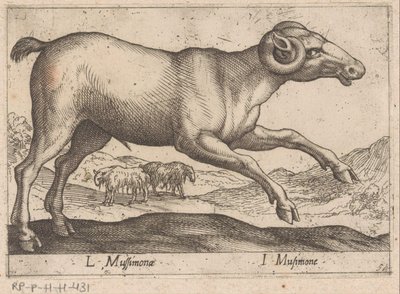 Geitachtige
L Mussimonae/ I Musimone（物品上的标题）
Dieren en fabelwezens（系列名称）
Nova raccolta de li animali più curiosi del mondo（系列名称） 作者 乔瓦尼·贾科莫·德罗西（可能）