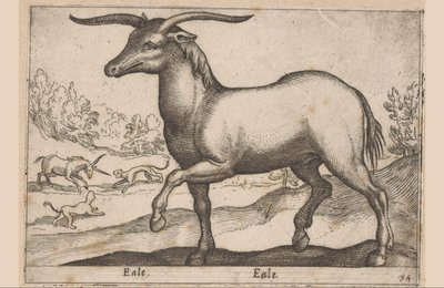 带角的马
Eale/ Eale（物品上的标题）
动物和神兽（系列名称）
Nova raccolta de li animali piu curiosi del mondo（系列名称） 作者 安东尼奥·坦佩斯塔