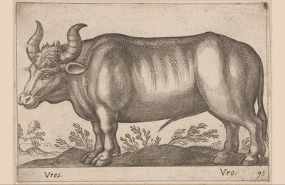 Rund
Vres/Vro（物品上的标题）
Dieren en fabelwezens（系列名称）
Nova raccolta de li animali più curiosi del mondo（系列名称） 作者 乔瓦尼·贾科莫·德罗西（可能）
