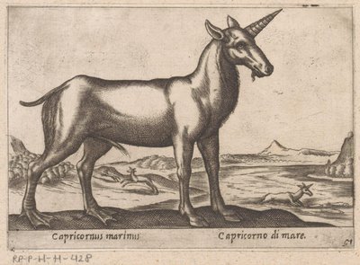 Steenbok als zeedier
Capricornus marinus/海上摩羯座（物品上的标题）
Dieren en fabelwezens（系列标题）
Nova raccolta de li animali più curiosi del mondo（系列名称） 作者 安东尼奥·坦佩斯塔