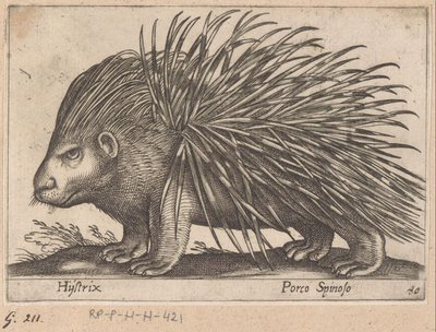 凳子
Hijstrix/ Porco Spinoso（物品上的标题）
Dieren en fabelwezens（系列名称）
Nova raccolta de li animali più curiosi del mondo（系列名称） 作者 乔瓦尼·贾科莫·德罗西（可能）