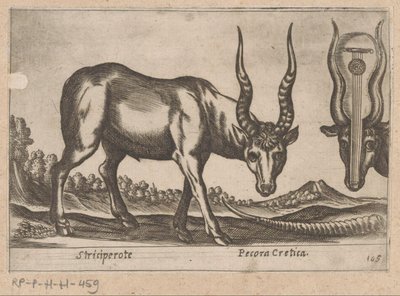 两张照片
Striciperote/ Pecora Cretica（物品标题）
Dieren en fabelwezens（系列名称）
Nova raccolta de li animali più curiosi del mondo（系列名称） 作者 乔瓦尼·贾科莫·德罗西（可能）