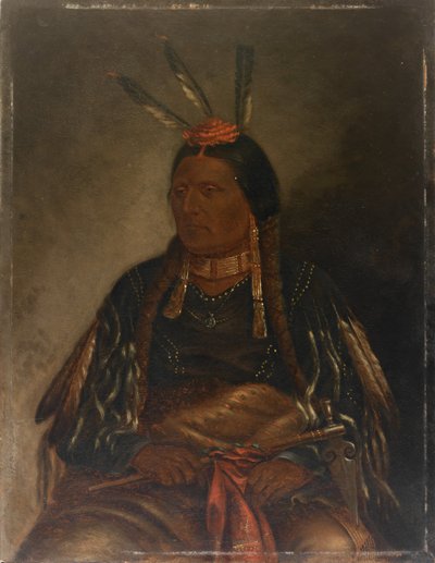 Che-tan-ce-ta黄鹰，约1887年。 作者 安东尼奥·泽诺·辛德勒