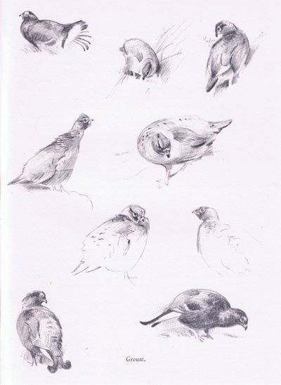 Grouse，1938年 作者 阿奇博尔德·索伯恩