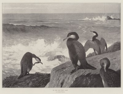 在狂野的西海岸 作者 Archibald Thorburn