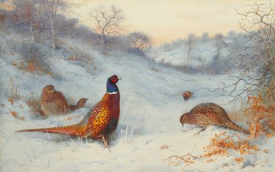 在雪地里的野鸡 作者 阿奇博尔德·索伯恩